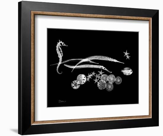 Horse Race Xray-Albert Koetsier-Framed Art Print