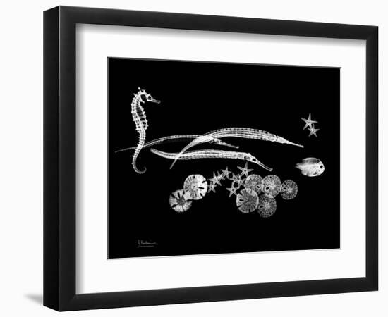 Horse Race Xray-Albert Koetsier-Framed Art Print