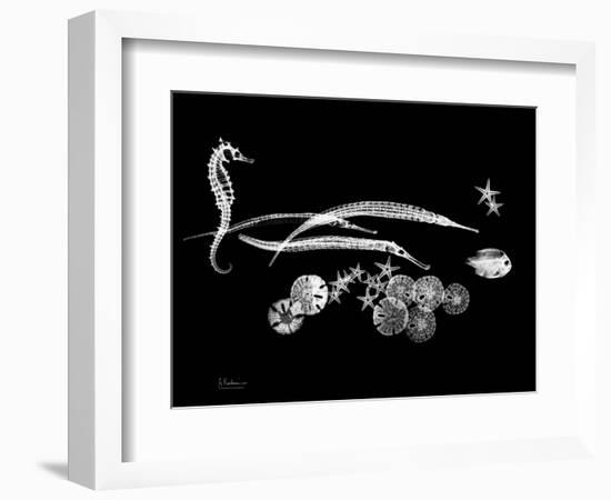 Horse Race Xray-Albert Koetsier-Framed Art Print