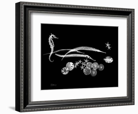 Horse Race Xray-Albert Koetsier-Framed Art Print