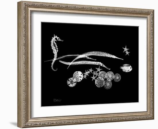 Horse Race Xray-Albert Koetsier-Framed Art Print