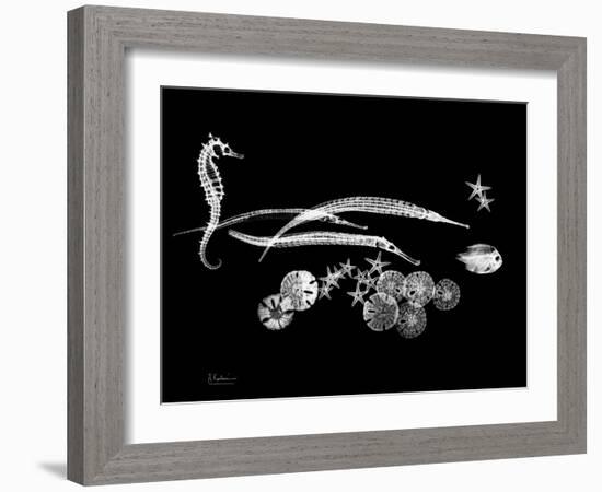 Horse Race Xray-Albert Koetsier-Framed Art Print