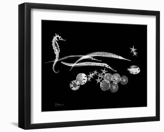 Horse Race Xray-Albert Koetsier-Framed Art Print