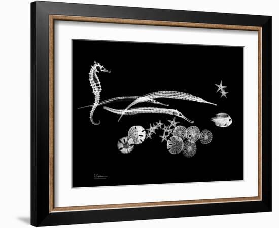 Horse Race Xray-Albert Koetsier-Framed Art Print