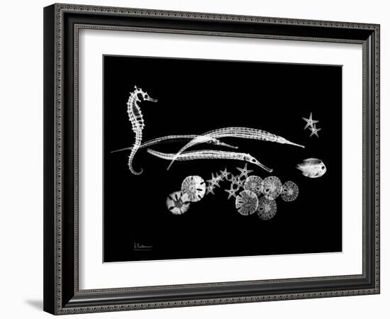 Horse Race Xray-Albert Koetsier-Framed Art Print