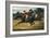 Horse Race-Théodore Géricault-Framed Art Print