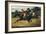 Horse Race-Théodore Géricault-Framed Art Print