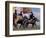 Horse Racing at Nadaam, Mongolia-Keren Su-Framed Photographic Print