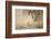 Horse racing in the mud-Maresa Pryor-Framed Photographic Print