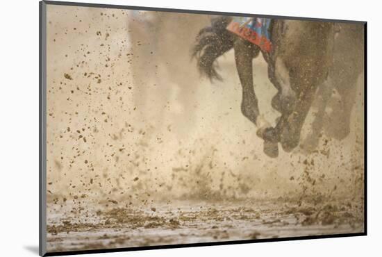 Horse racing in the mud-Maresa Pryor-Mounted Photographic Print
