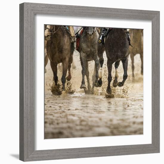 Horse racing on a muddy track-Maresa Pryor-Framed Photographic Print