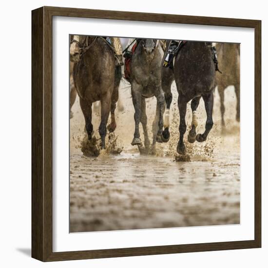 Horse racing on a muddy track-Maresa Pryor-Framed Photographic Print