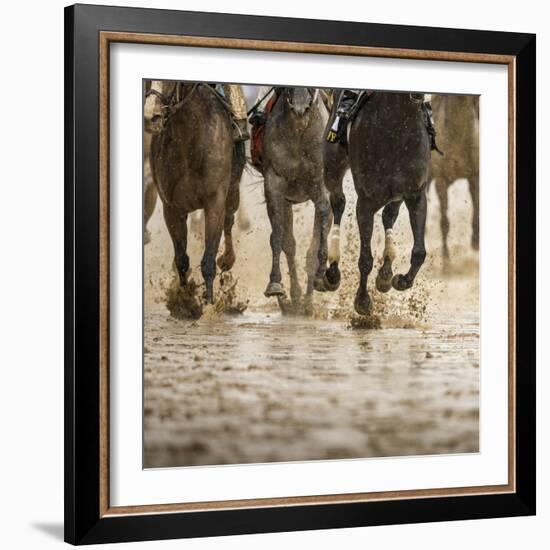 Horse racing on a muddy track-Maresa Pryor-Framed Photographic Print