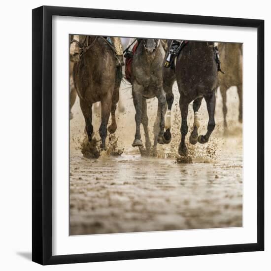 Horse racing on a muddy track-Maresa Pryor-Framed Photographic Print