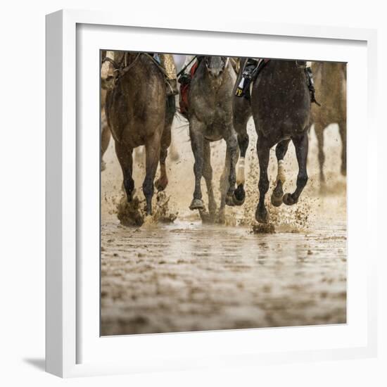 Horse racing on a muddy track-Maresa Pryor-Framed Photographic Print