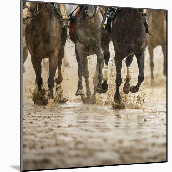 Horse racing on a muddy track-Maresa Pryor-Mounted Photographic Print