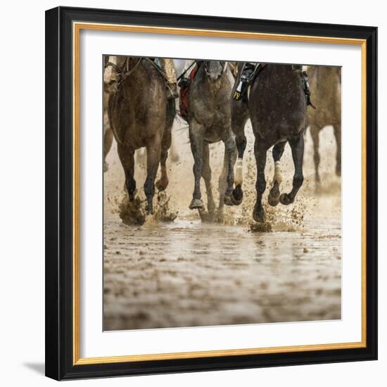 Horse racing on a muddy track-Maresa Pryor-Framed Photographic Print