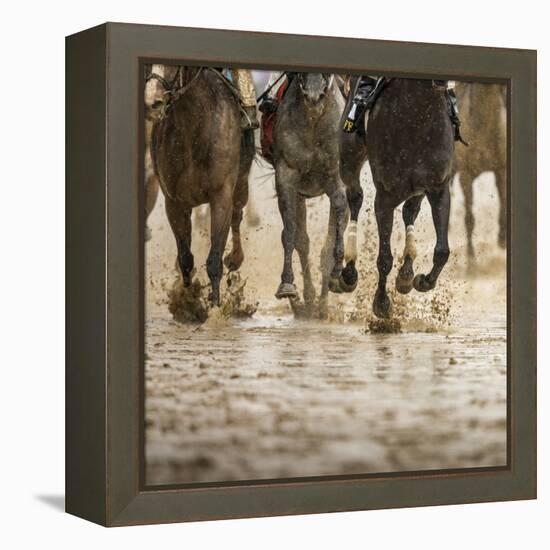 Horse racing on a muddy track-Maresa Pryor-Framed Premier Image Canvas