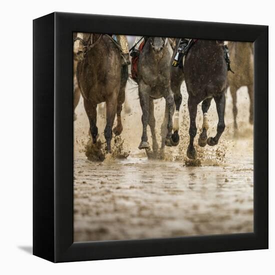 Horse racing on a muddy track-Maresa Pryor-Framed Premier Image Canvas