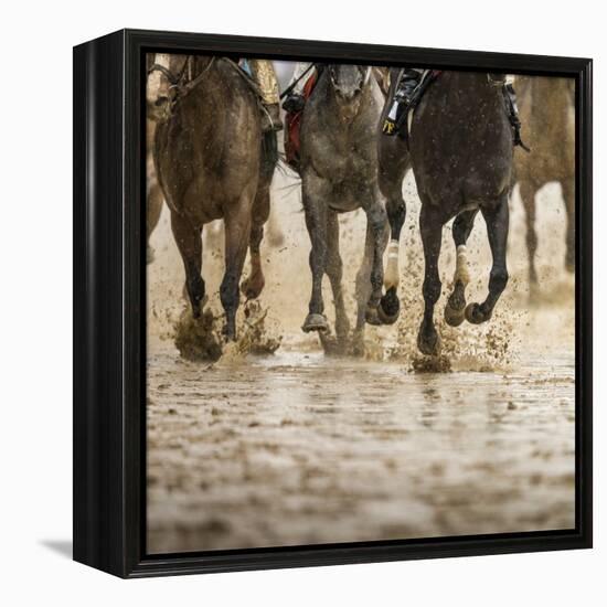 Horse racing on a muddy track-Maresa Pryor-Framed Premier Image Canvas