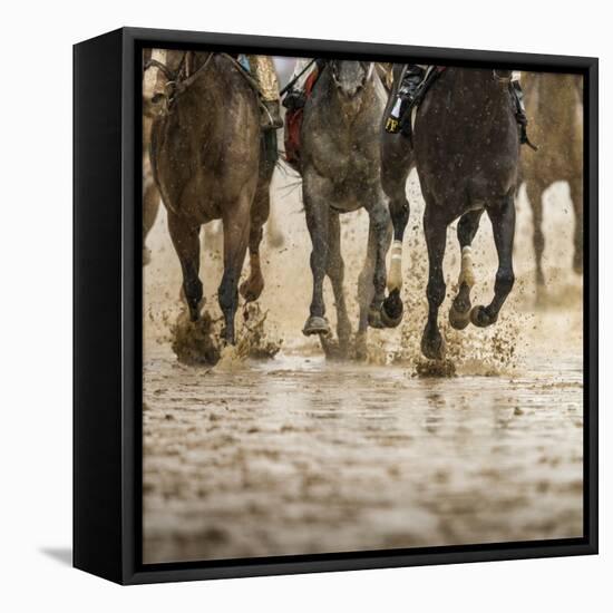 Horse racing on a muddy track-Maresa Pryor-Framed Premier Image Canvas