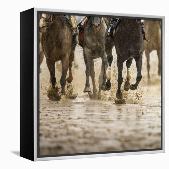 Horse racing on a muddy track-Maresa Pryor-Framed Premier Image Canvas