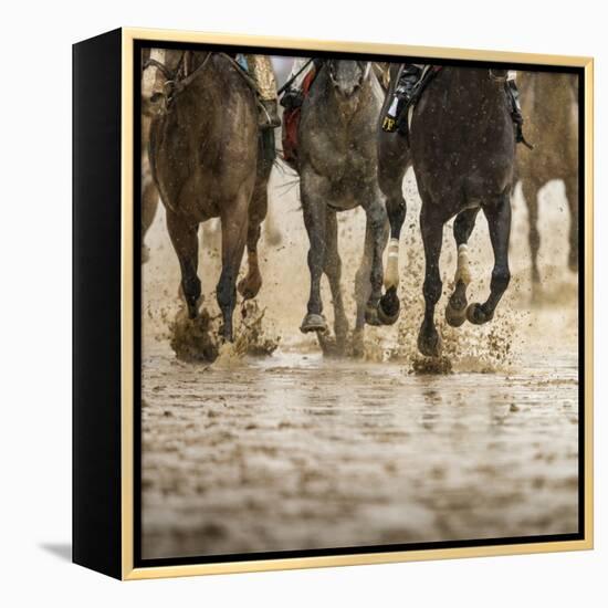 Horse racing on a muddy track-Maresa Pryor-Framed Premier Image Canvas