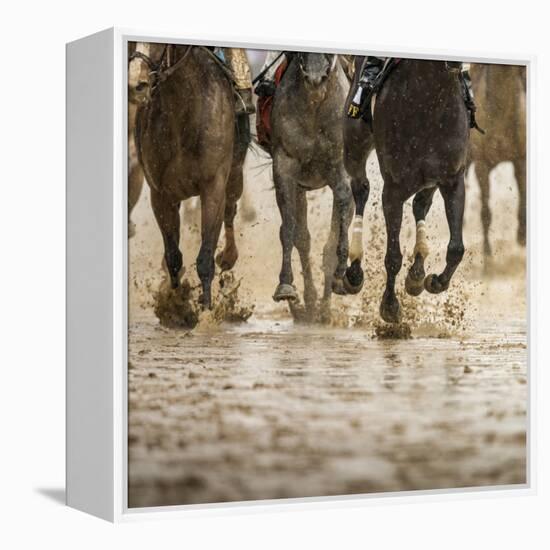 Horse racing on a muddy track-Maresa Pryor-Framed Premier Image Canvas