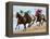 Horse Racing on the Beach, Sanlucar De Barrameda, Spain-Felipe Rodriguez-Framed Premier Image Canvas