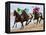 Horse Racing on the Beach, Sanlucar De Barrameda, Spain-Felipe Rodriguez-Framed Premier Image Canvas