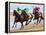 Horse Racing on the Beach, Sanlucar De Barrameda, Spain-Felipe Rodriguez-Framed Premier Image Canvas