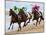 Horse Racing on the Beach, Sanlucar De Barrameda, Spain-Felipe Rodriguez-Mounted Photographic Print