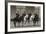 Horse Regiment Trumpeters at Cuirassiers Gala-null-Framed Giclee Print