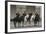 Horse Regiment Trumpeters at Cuirassiers Gala-null-Framed Giclee Print