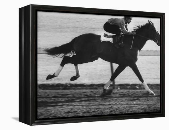 Horse Ridan During Race-null-Framed Premier Image Canvas