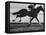 Horse Ridan During Race-null-Framed Premier Image Canvas
