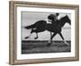 'Horse Ridan During Race' Photographic Print