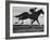 Horse Ridan During Race-null-Framed Photographic Print