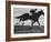 Horse Ridan During Race-null-Framed Photographic Print