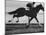 Horse Ridan During Race-null-Mounted Photographic Print