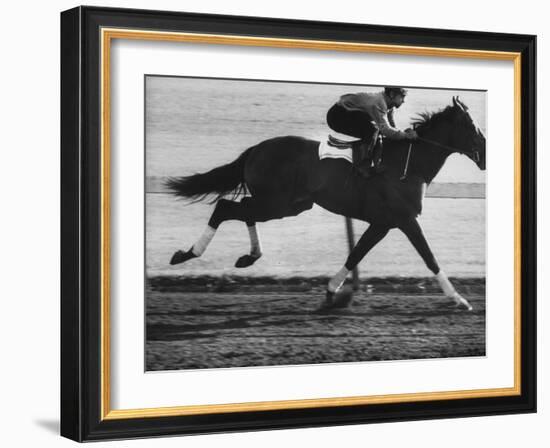 Horse Ridan During Race-null-Framed Photographic Print