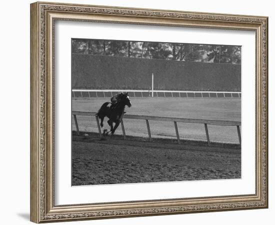 Horse Ridan During Race-null-Framed Photographic Print