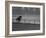 Horse Ridan During Race-null-Framed Photographic Print