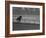 Horse Ridan During Race-null-Framed Photographic Print