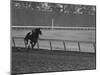 Horse Ridan During Race-null-Mounted Photographic Print