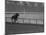 Horse Ridan During Race-null-Mounted Photographic Print