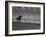 Horse Ridan During Race-null-Framed Photographic Print