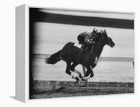 Horse Ridan During Race-null-Framed Premier Image Canvas