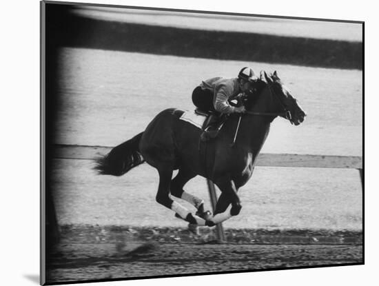 Horse Ridan During Race-null-Mounted Photographic Print