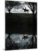 Horse Ride-null-Mounted Photographic Print